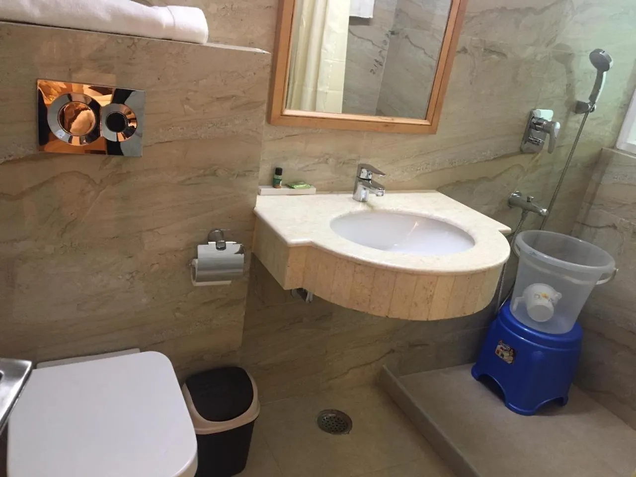 Hotel Mira International Delhi